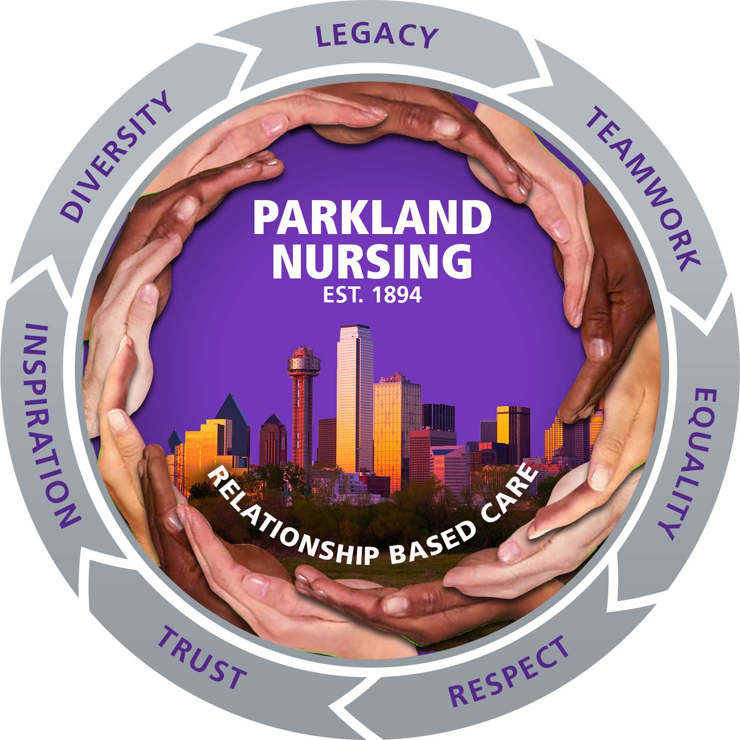 Nursing Professional Practice Model